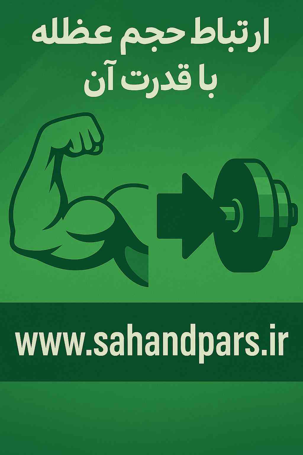 رابطه حجم و قدرت عضلانی
